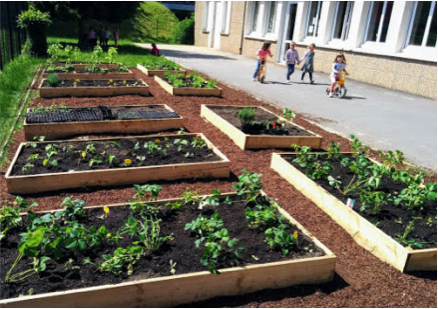 Image d'illustration pour : #2014 - Des potagers dans les écoles Chambériennes Image d'illustration pour : #2014 - Des potagers dans les écoles Chambériennes