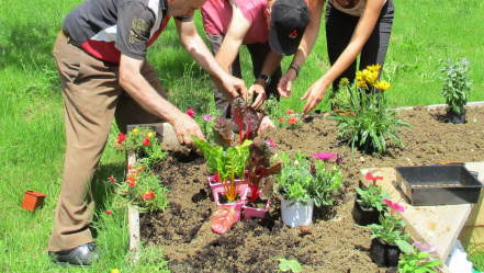 Image d'illustration pour : #3050 - Jardins thérapeutiques et parcours sensoriels pour des personnes handicapées mentales