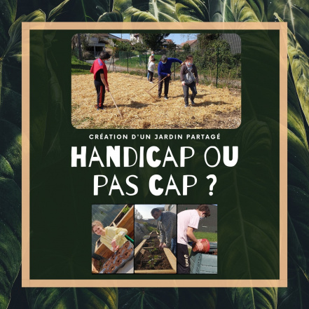 Image d'illustration pour : #3055 - Création d'un jardin partagé : Handicap ou pas cap ?