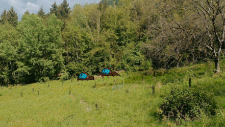 Image d'illustration pour : #3014 - Ecole en forêt et lieu nourricier