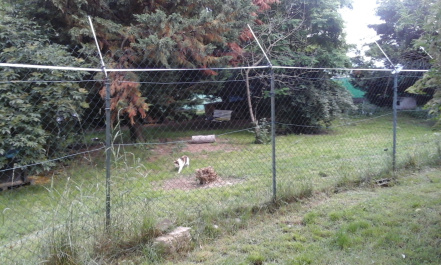Image d'illustration pour : #2008 - Refuge/sanctuaire pour animaux abandonnés, maltraités