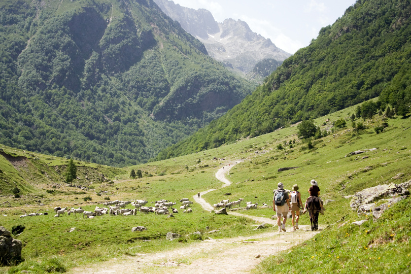 Vos projets pour la Savoie