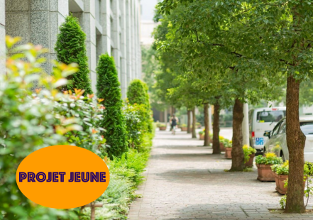Image d'illustration pour : #2024 - Des arbres pour la rue girard madoux